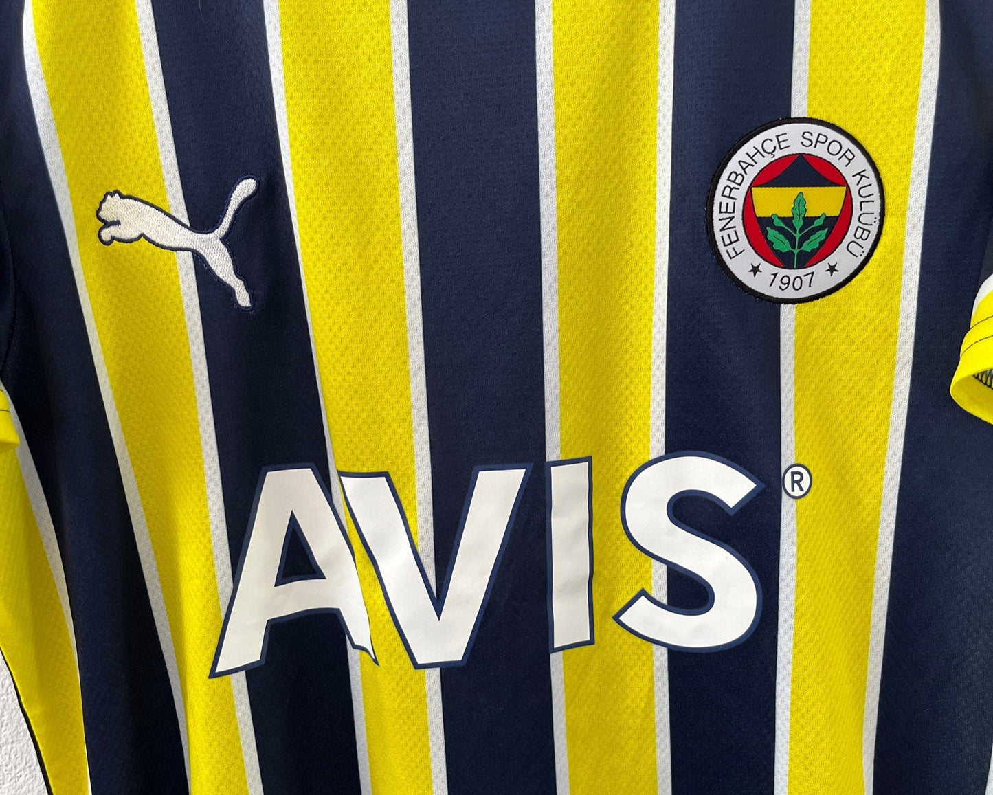 Fenerbahçe 2022/23 Home Small