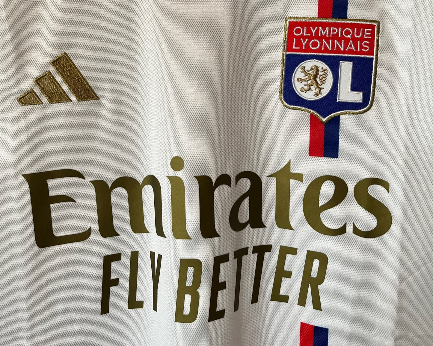 Lyon 2023/24 Home Medium