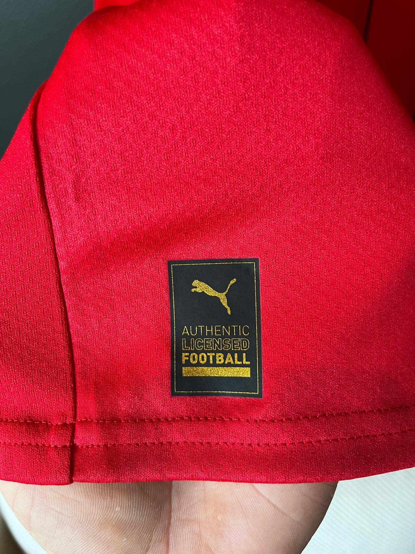 Egypt 2022/23 Home Medium