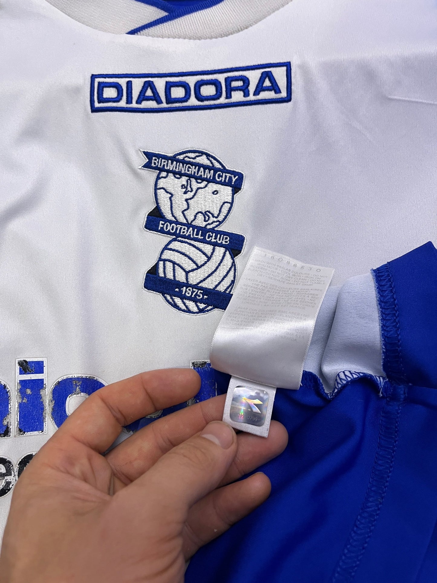Birmingham City 2013/14 Home Large Shine 22