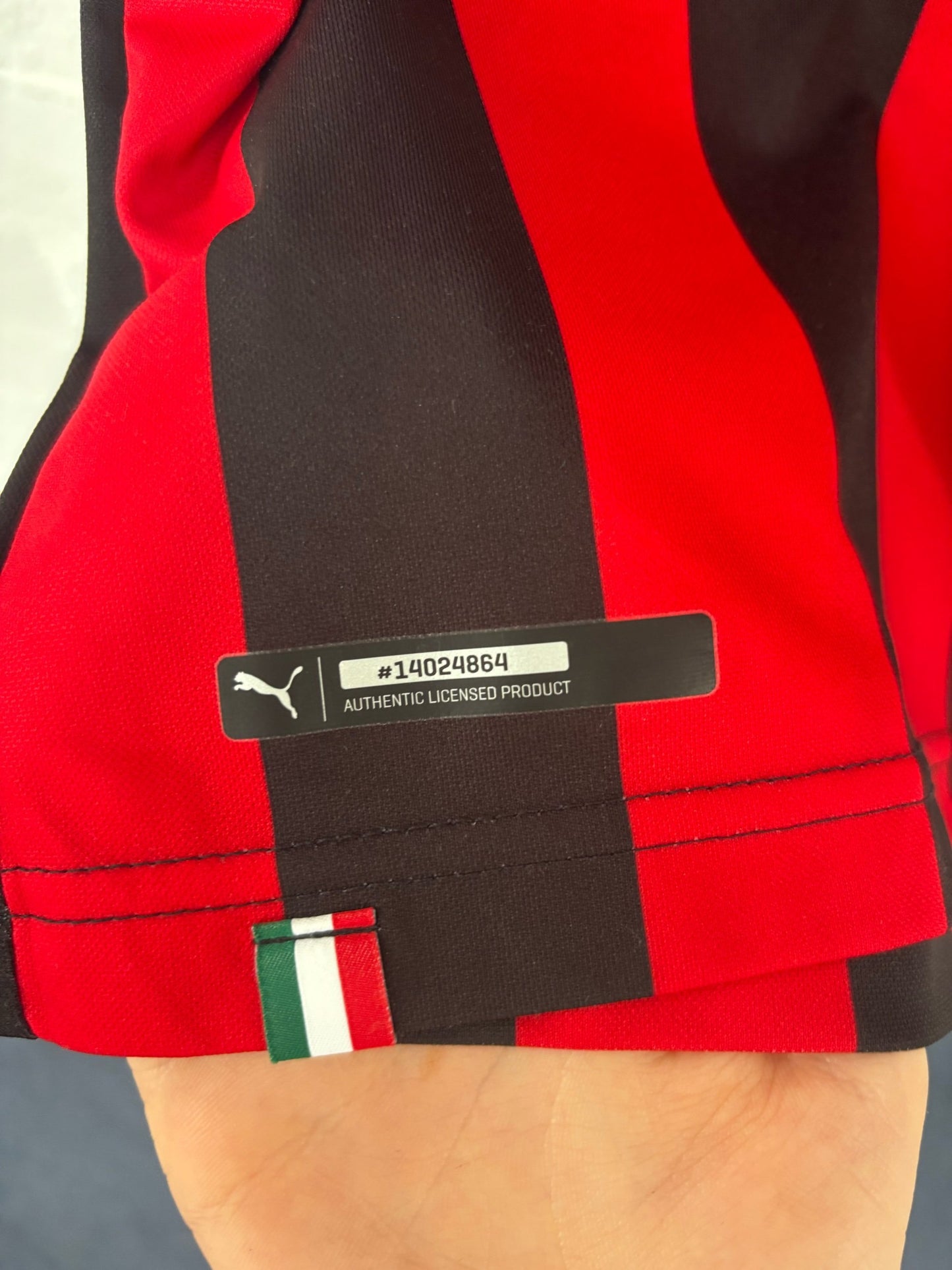 Ac Milan 2018/19 Home Large 754419