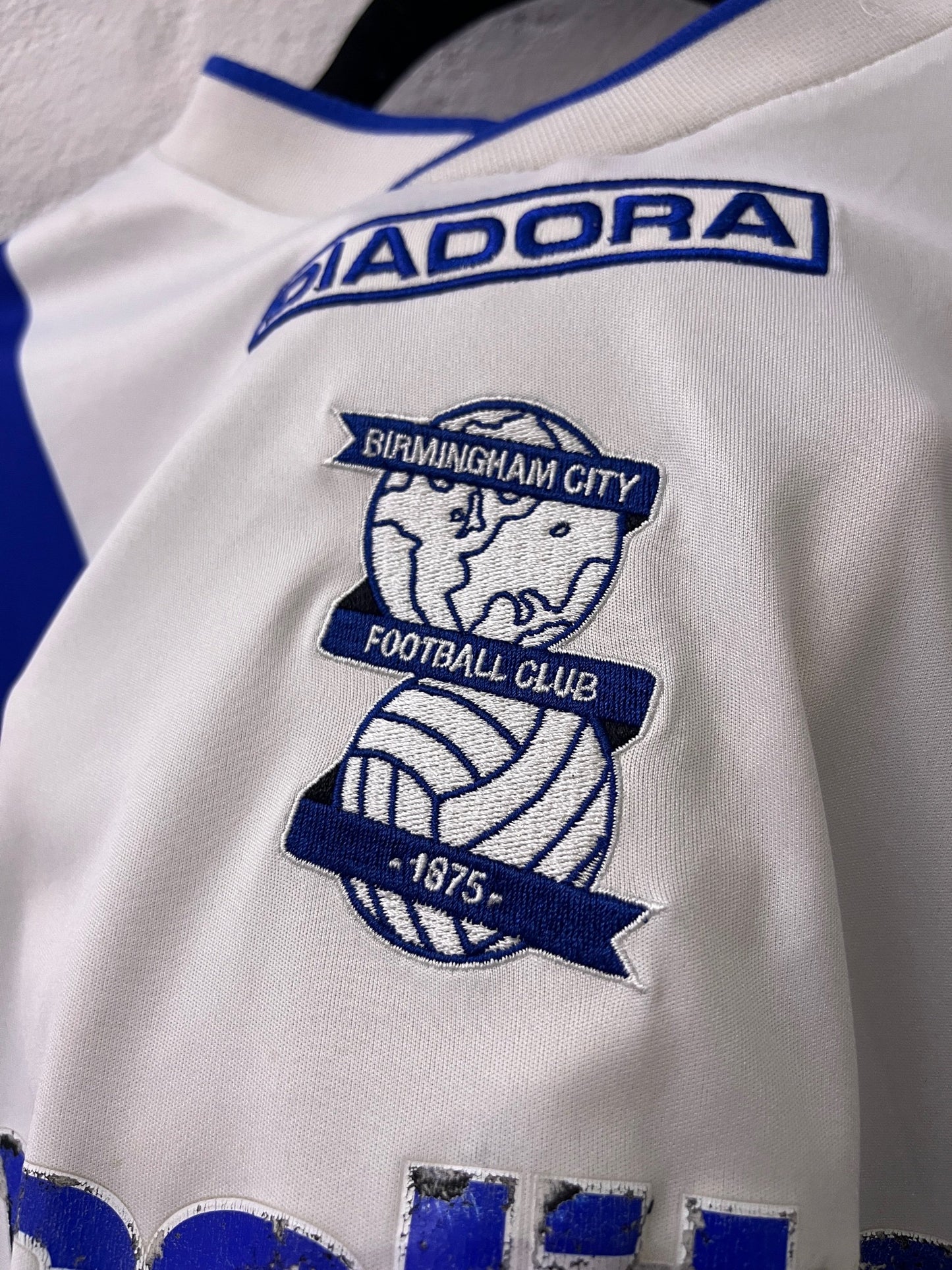Birmingham City 2013/14 Home Large Shine 22