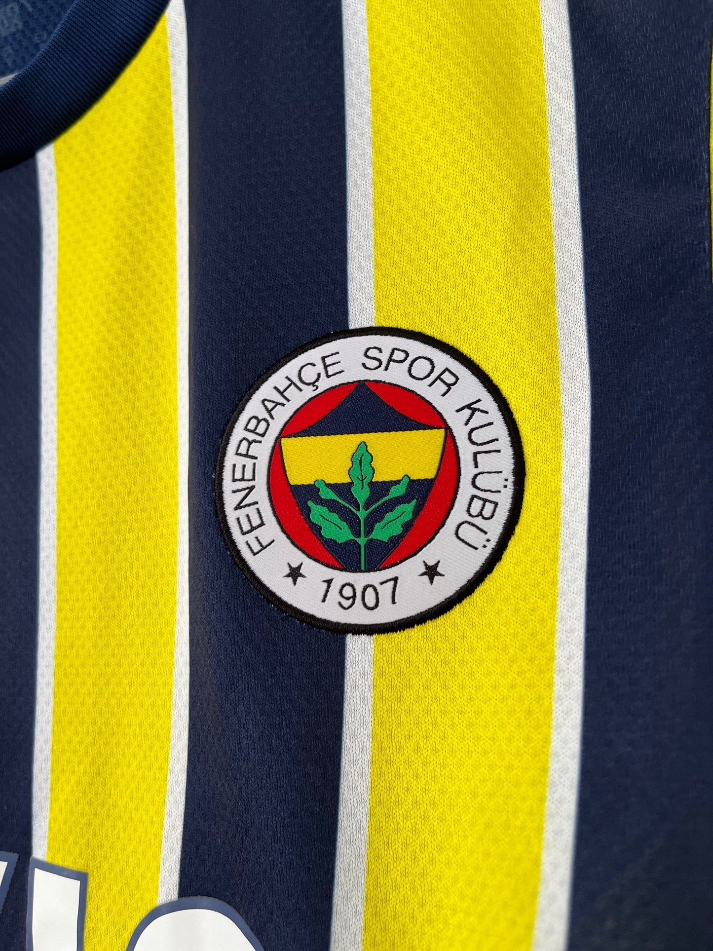 Fenerbahçe 2022/23 Home Small