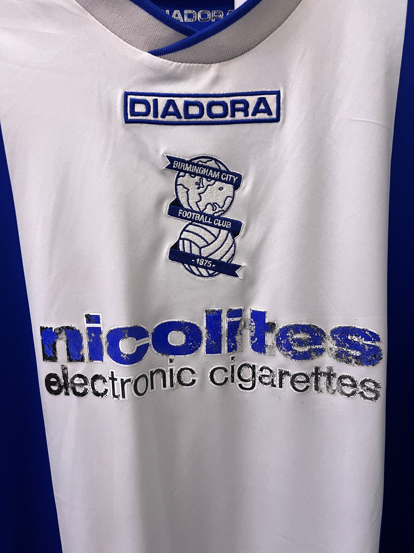 Birmingham City 2013/14 Home Large Shine 22