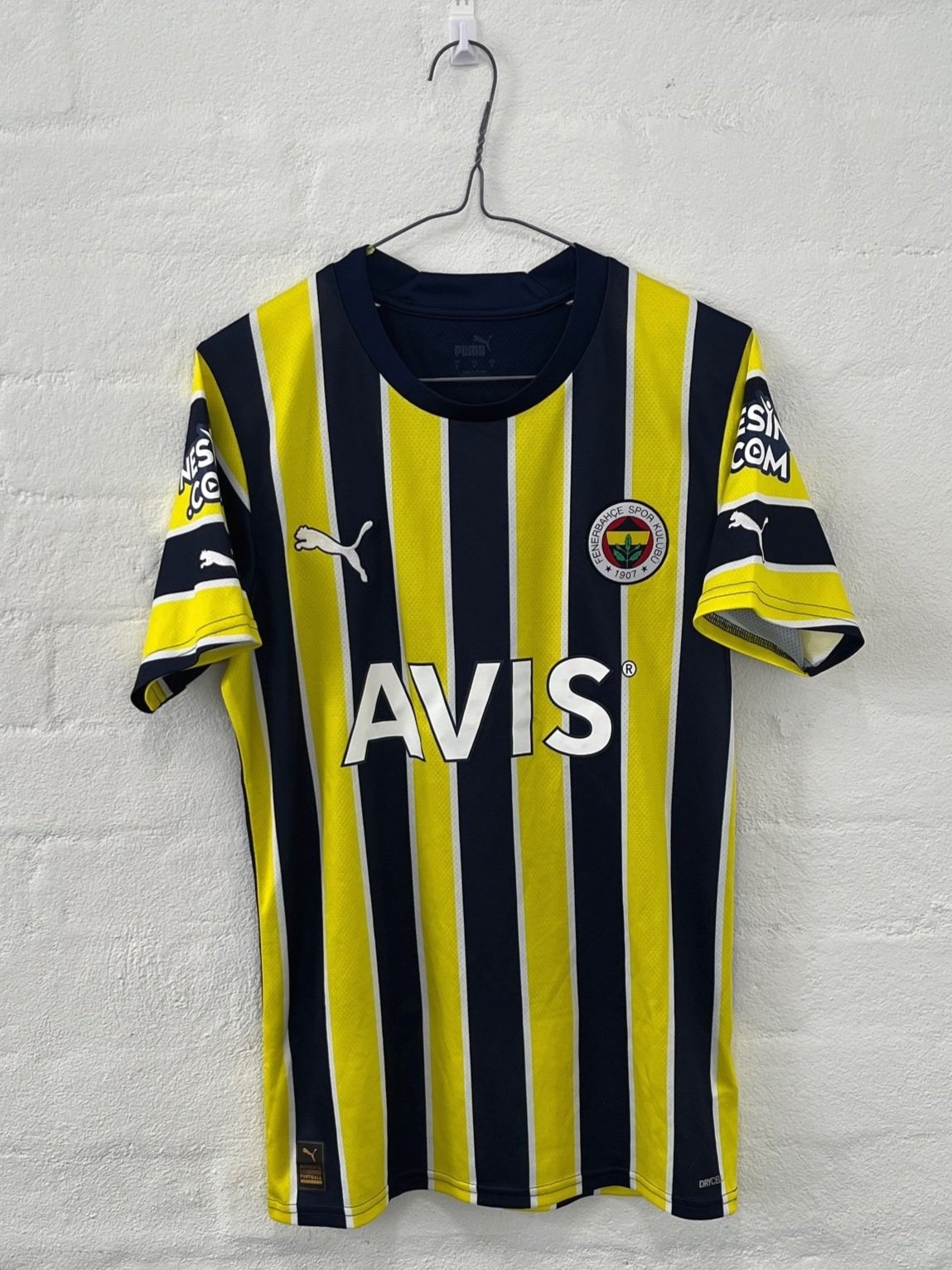 Fenerbahçe 2022/23 Home Small