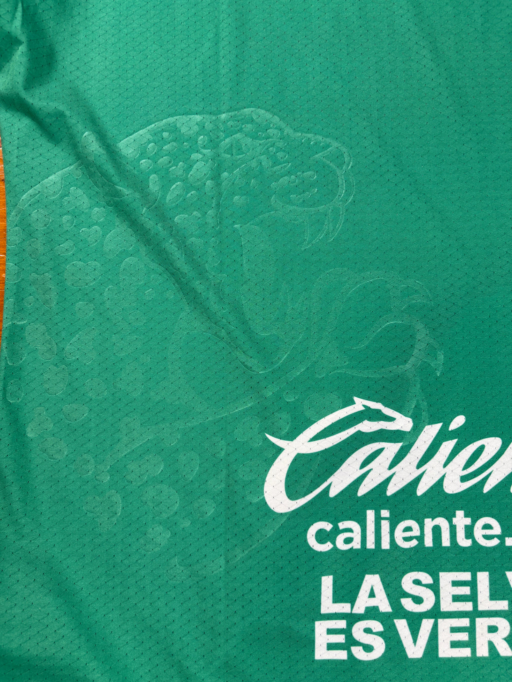 Chiapas Jaguares FC 2016/17 Home Football Shirt Extra Large