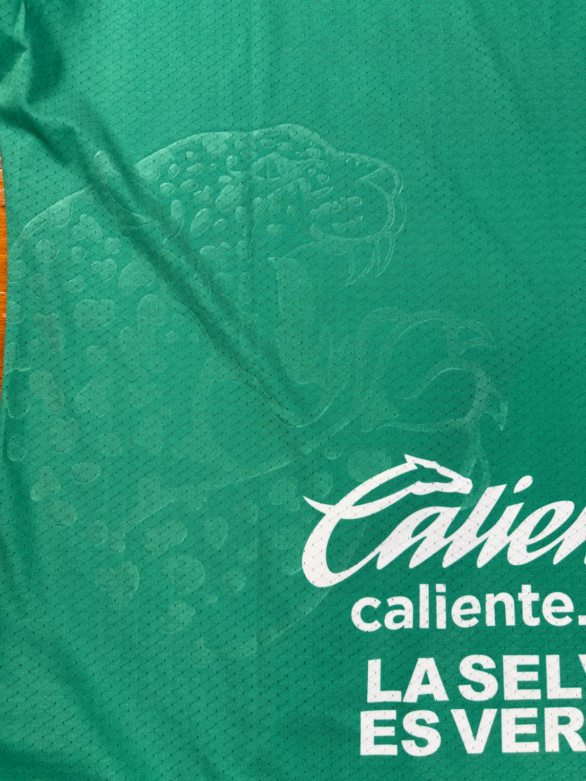 Chiapas Jaguares FC 2016/17 Home Football Shirt Extra Large