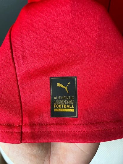 Egypt 2022/23 Home Medium