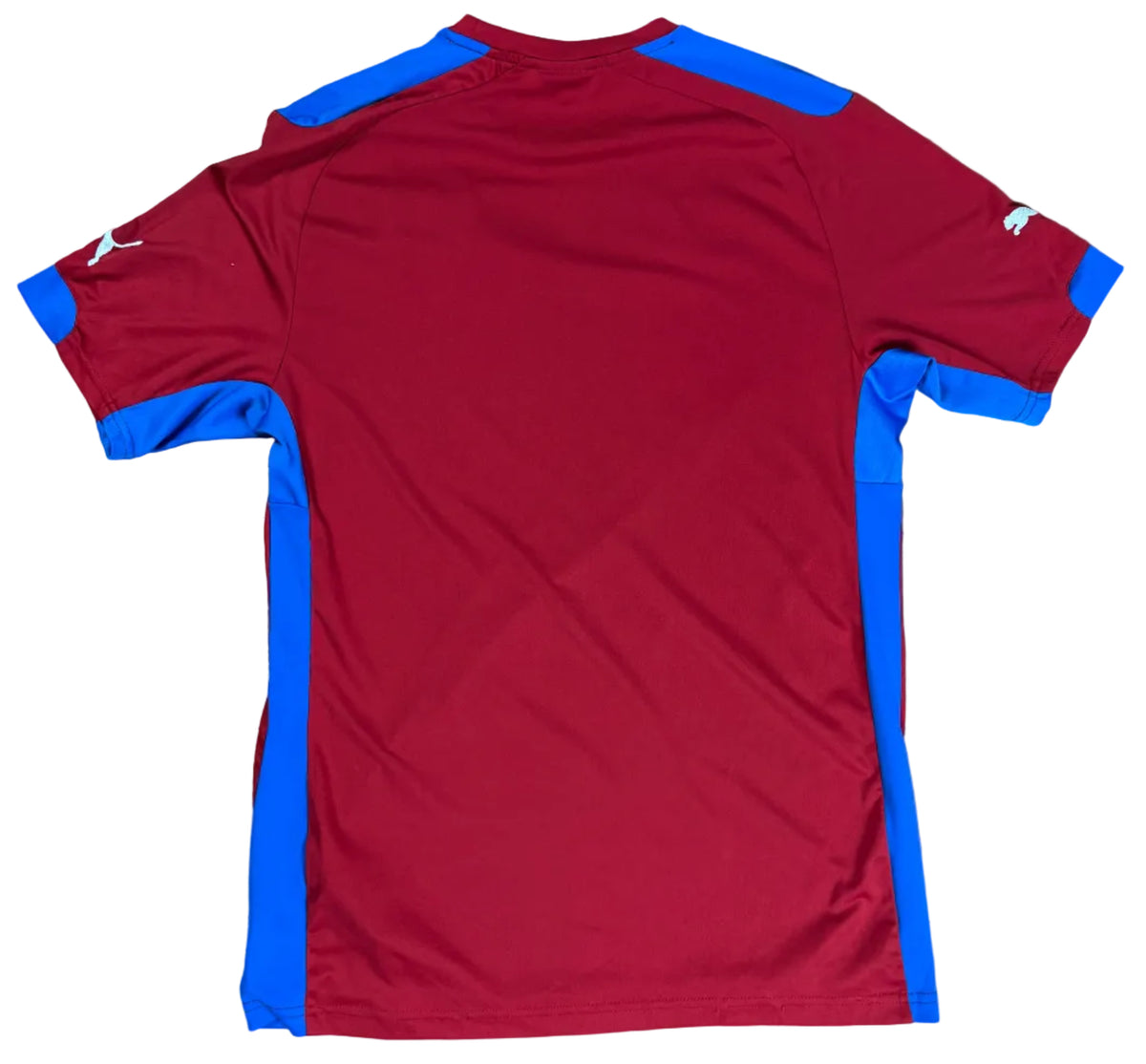 Czech Republic 2014 Home Puma Football Shirt Medium