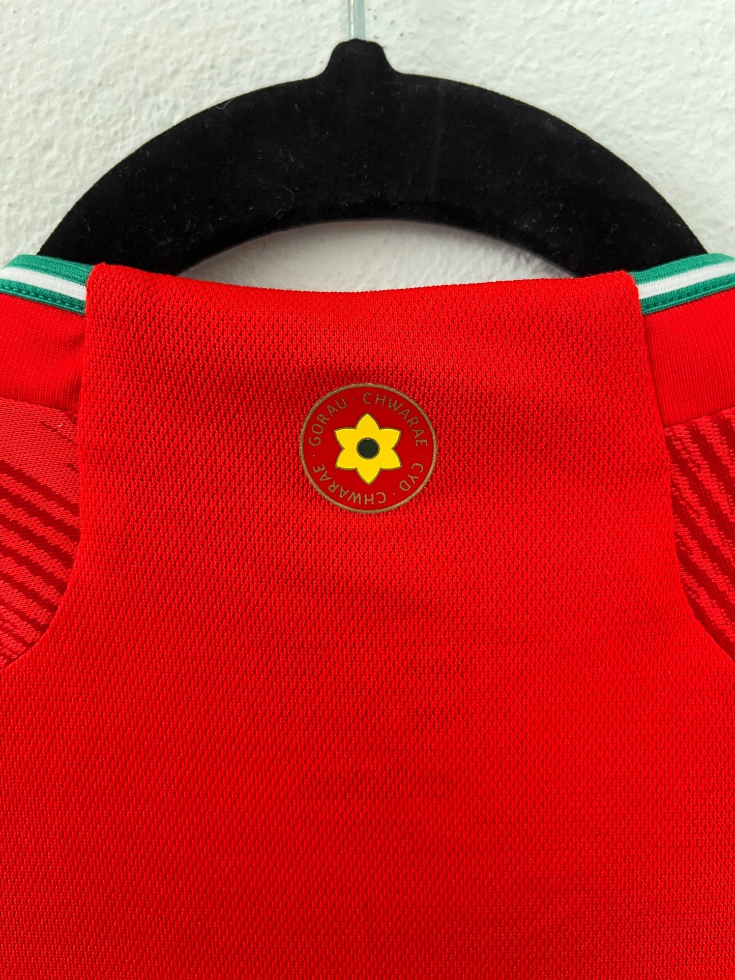 Wales 2022 Home Small