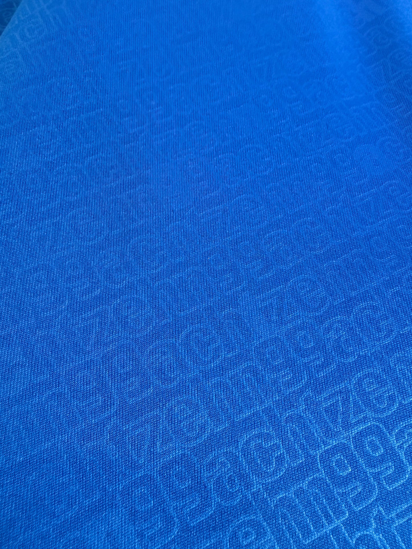 Hoffenheim 2011/12 Home XXL