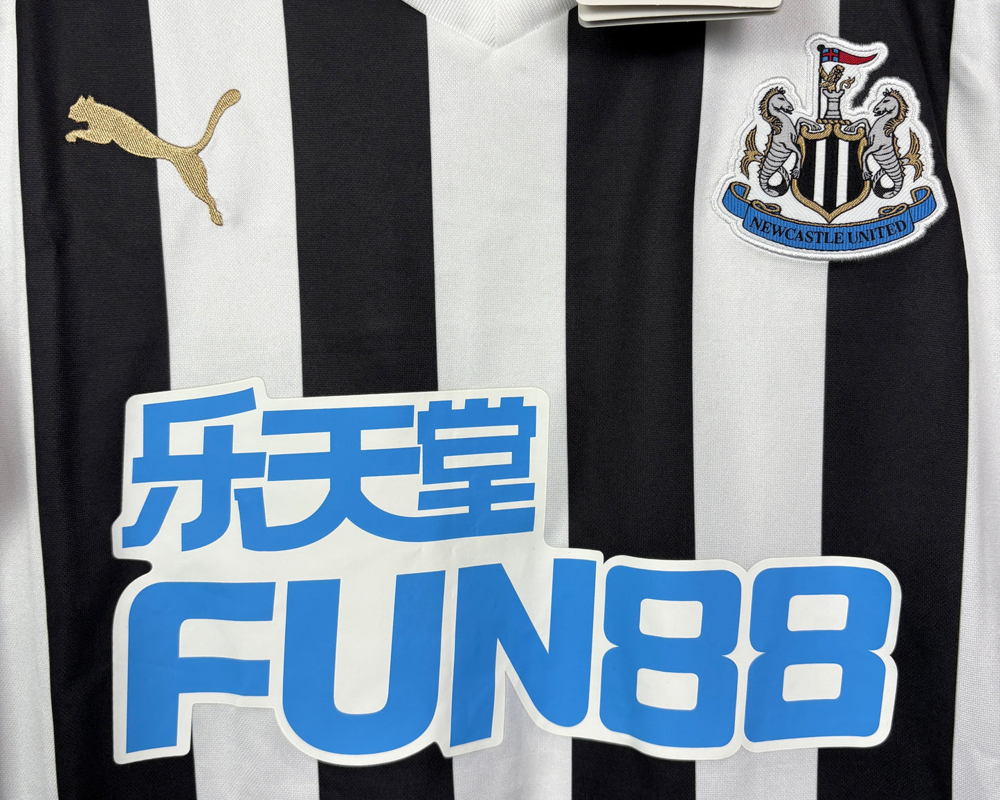 Newcastle United 2018/19 Home M Longstaff 36